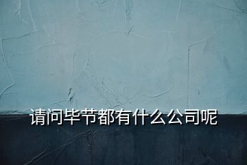 請問畢節(jié)都有什么公司呢