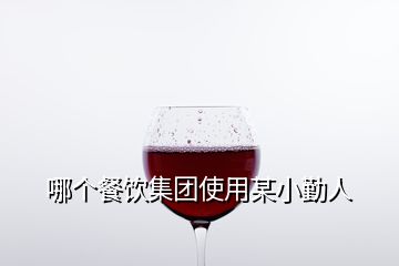 哪個餐飲集團(tuán)使用某小勤人