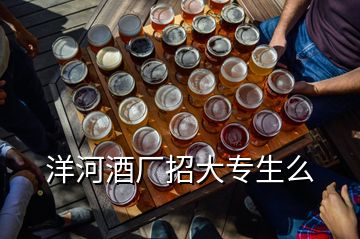 洋河酒廠招大專生么