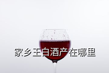 家鄉(xiāng)王白酒產(chǎn)在哪里