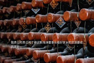 致貴公司貴公司丁峰說靳海濤董事長看好家鄉(xiāng)的資源要收購來開