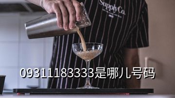 09311183333是哪兒號碼