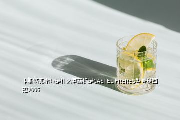 卡斯特弗雷爾是什么酒商標(biāo)是CASTEL FRERES型號(hào)是西拉2006