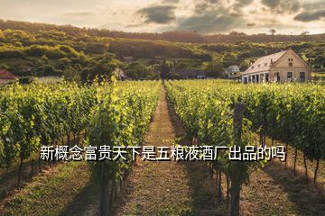 新概念富貴天下是五糧液酒廠出品的嗎