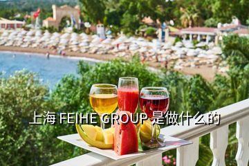 上海 FEIHE GROUP 是做什么的