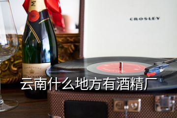 云南什么地方有酒精廠