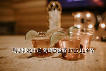 馬爹利XO干邑 葡萄蒸餾酒 1715 1L價格