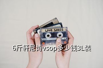 6斤軒尼詩vsop多少錢3L裝