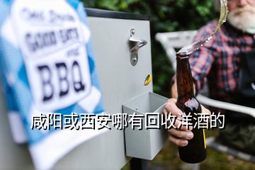 咸陽或西安哪有回收洋酒的