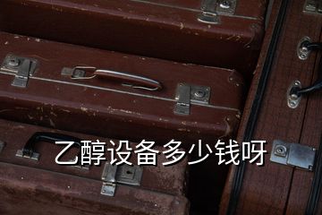 乙醇設(shè)備多少錢(qián)呀