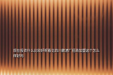 現(xiàn)在投資什么比較好呢看見(jiàn)四川散酒廠招商加盟這個(gè)怎么樣好嗎