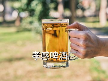 孝感啤酒廠