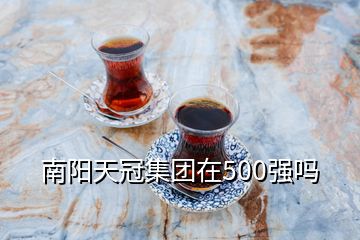 南陽(yáng)天冠集團(tuán)在500強(qiáng)嗎