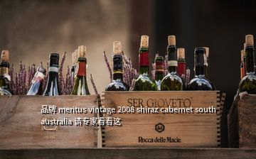 品牌 meritus vintage 2008 shiraz cabernet south australia 請專家看看這