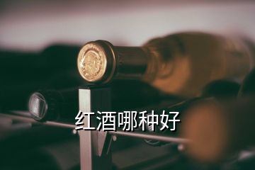 紅酒哪種好