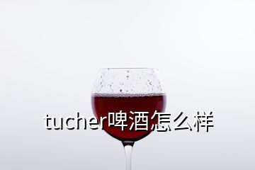 tucher啤酒怎么樣