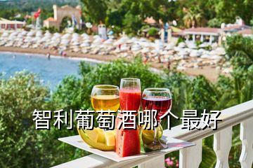 智利葡萄酒哪個(gè)最好
