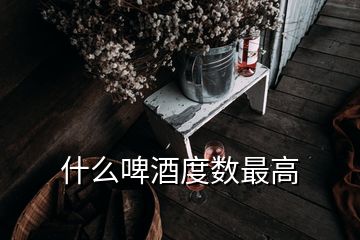 什么啤酒度數(shù)最高