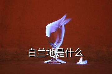 白蘭地是什么