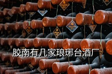 膠南有幾家瑯琊臺酒廠