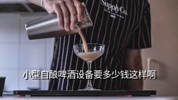 小型自釀啤酒設(shè)備要多少錢這樣啊