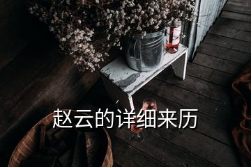 趙云的詳細(xì)來歷