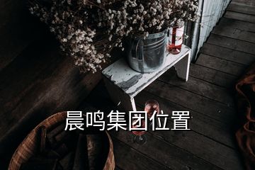 晨鳴集團(tuán)位置