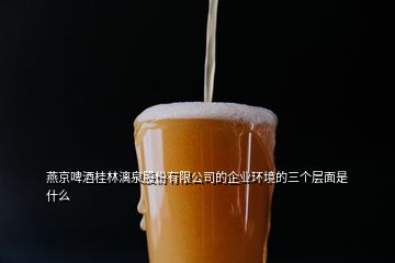 燕京啤酒桂林漓泉股份有限公司的企業(yè)環(huán)境的三個(gè)層面是什么