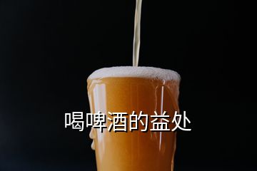 喝啤酒的益處