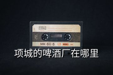 項城的啤酒廠在哪里
