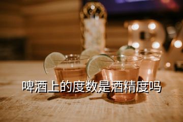 啤酒上的度數(shù)是酒精度嗎