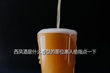 西鳳酒是什么香型的那位高人給指點一下