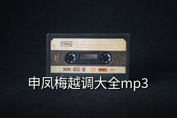 申鳳梅越調(diào)大全mp3