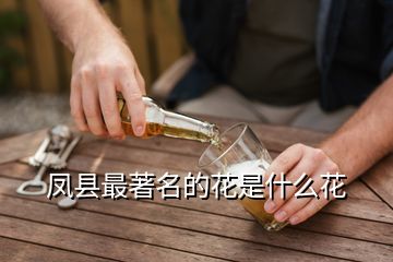 鳳縣最著名的花是什么花