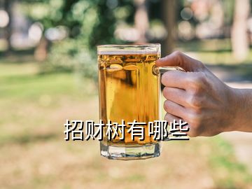 招財(cái)樹有哪些