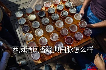 西鳳酒鳳香經典國脈怎么樣