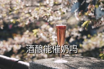 酒釀能催奶嗎