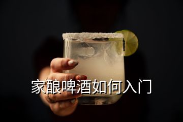 家釀啤酒如何入門(mén)