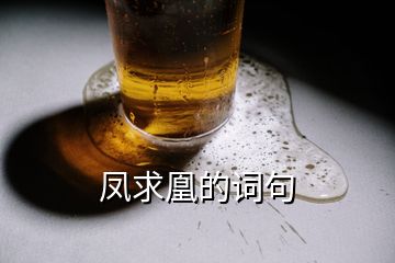 鳳求凰的詞句