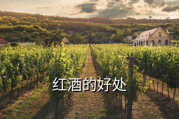 紅酒的好處