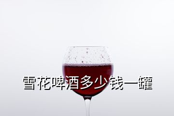 雪花啤酒多少錢一罐