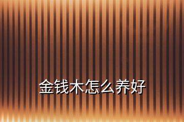 金錢木怎么養(yǎng)好