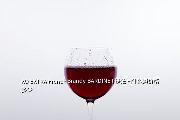 XO EXTRA French Brandy BARDINET是法國什么酒價(jià)格多少