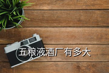 五糧液酒廠有多大