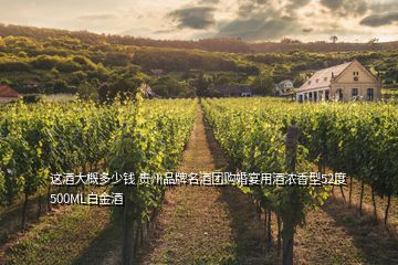 這酒大概多少錢 貴州品牌名酒團(tuán)購婚宴用酒濃香型52度500ML白金酒