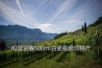 42度迎春500ml白瓷瓶廊坊特產(chǎn)