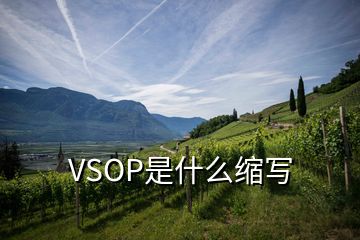 VSOP是什么縮寫