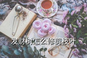 發(fā)財(cái)樹怎么修剪枝葉