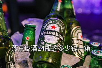 燕京皮酒24瓶的多少錢一箱