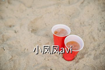 小鳳鳳avi